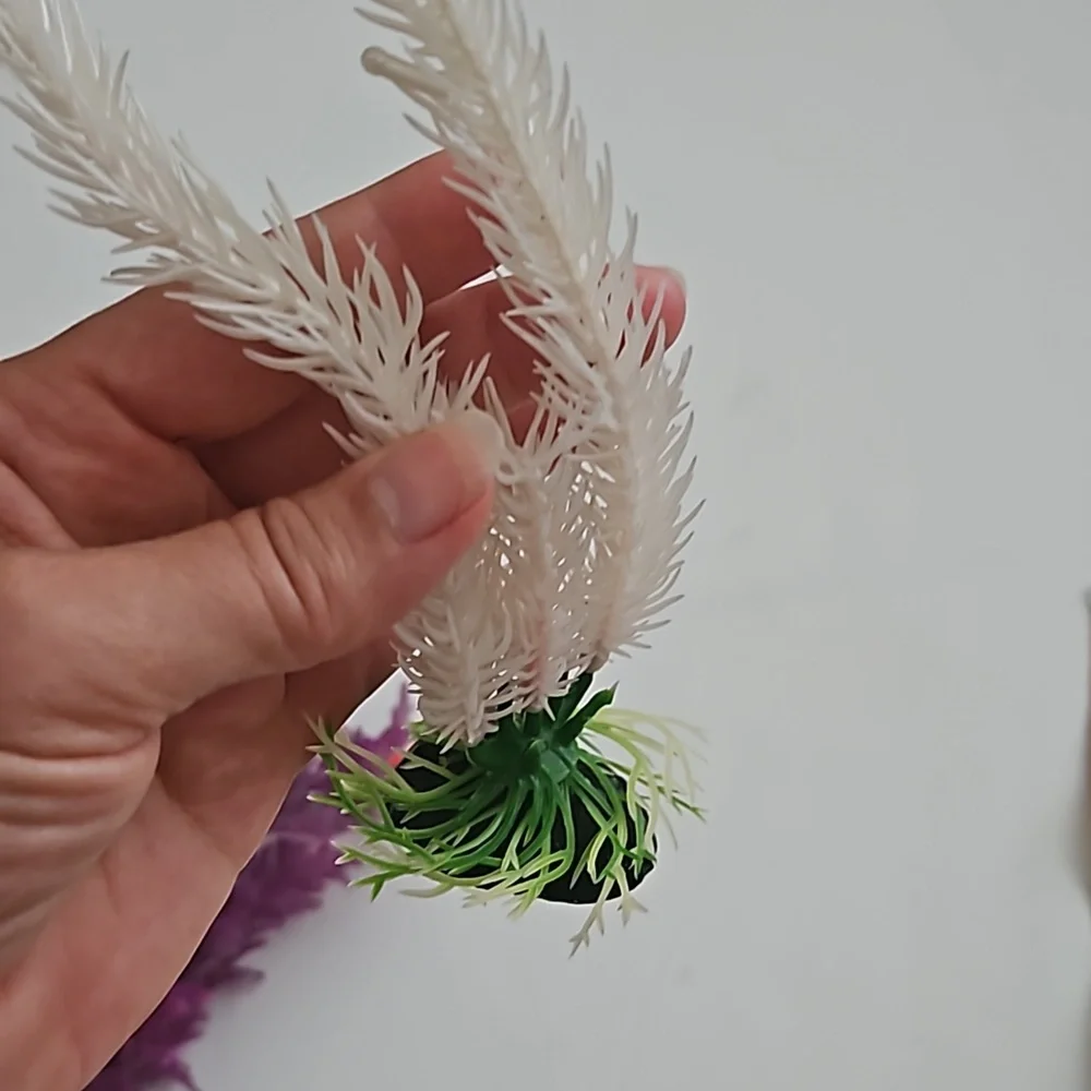 Aquarium or fish tank plants